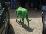 Grüner Hund
